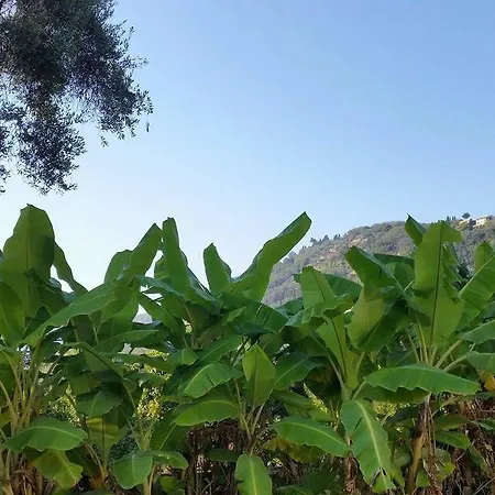 Argo, Feakia Vilă Agios Gordios (Corfu)